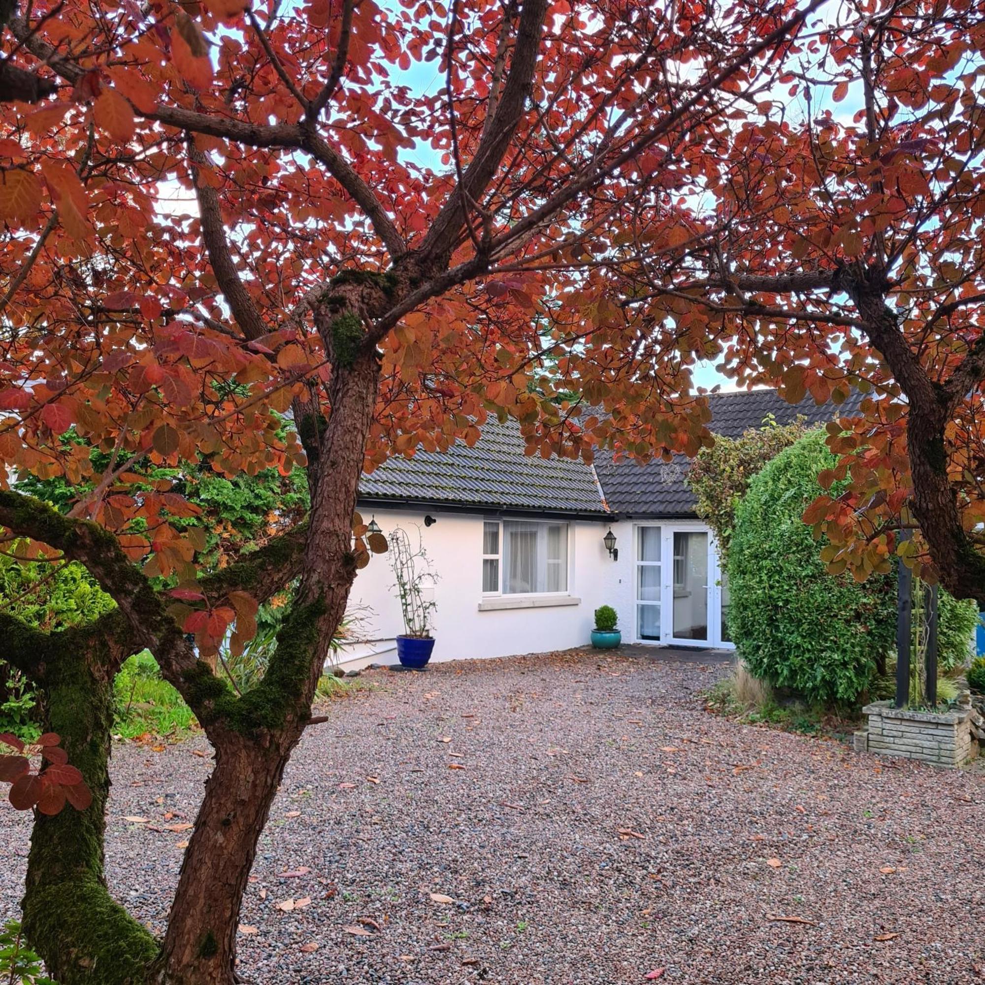 Nara Seaside Retreat Lägenhet Cultra Exteriör bild